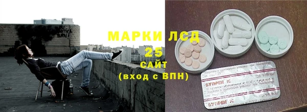 PSILOCYBIN Осташков