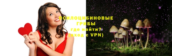 PSILOCYBIN Осташков