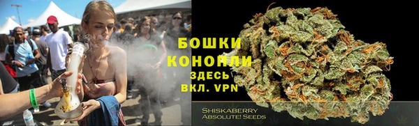 PSILOCYBIN Осташков